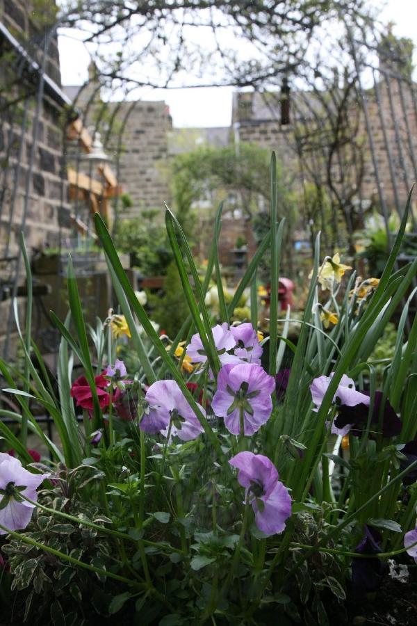 Alexandra Court Bed and Breakfast Harrogate Exteriör bild